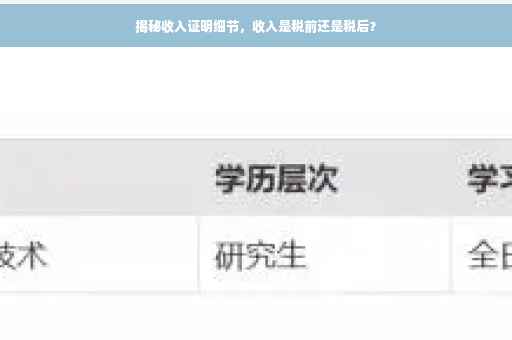 揭秘收入证明细节，收入是税前还是税后？