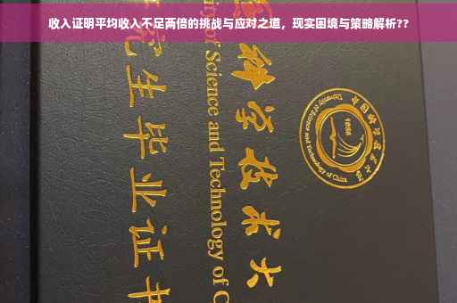 收入证明平均收入不足两倍的挑战与应对之道，现实困境与策略解析??