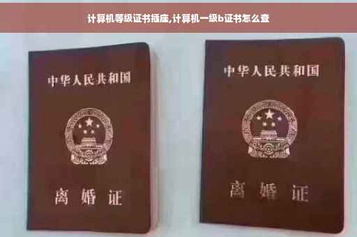 计算机等级证书插座,计算机一级b证书怎么查