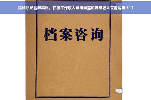 揭秘职场薪酬真相，在职工作收入证明涵盖的各类收入来源解析 ?⚡️