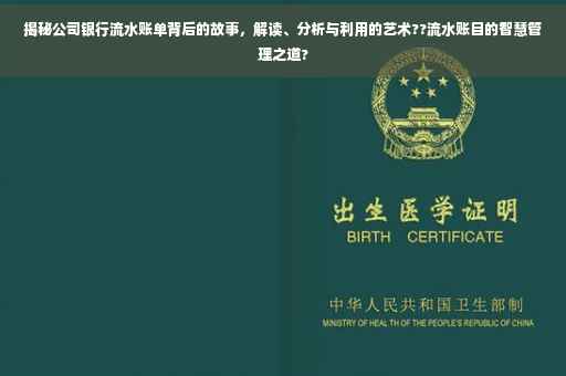 揭秘公司银行流水账单背后的故事，解读、分析与利用的艺术??流水账目的智慧管理之道?