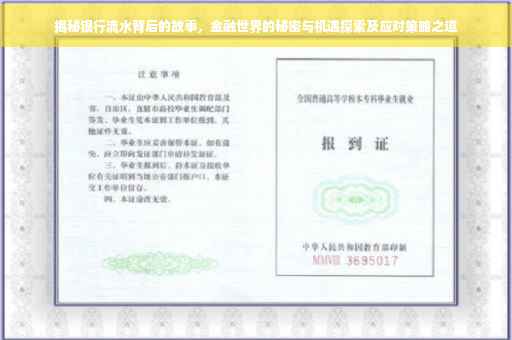 揭秘银行流水背后的故事，金融世界的秘密与机遇探索及应对策略之道