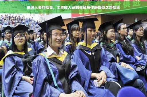 低收入者的福音，工资收入证明详解与住房保障之路探索