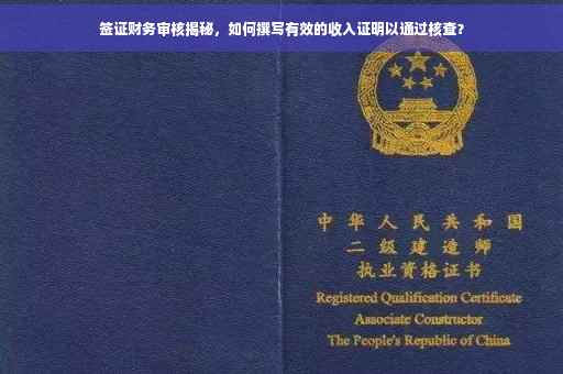 签证财务审核揭秘，如何撰写有效的收入证明以通过核查？