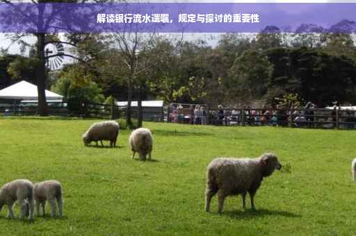 解读银行流水遗嘱，规定与探讨的重要性