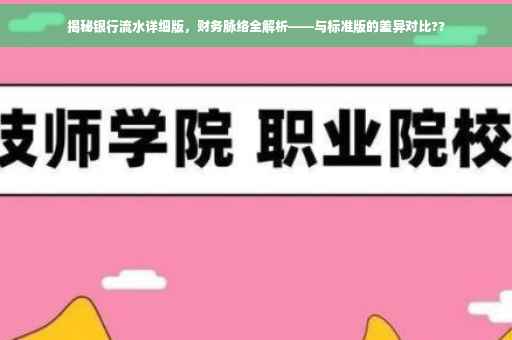 揭秘银行流水详细版，财务脉络全解析——与标准版的差异对比??