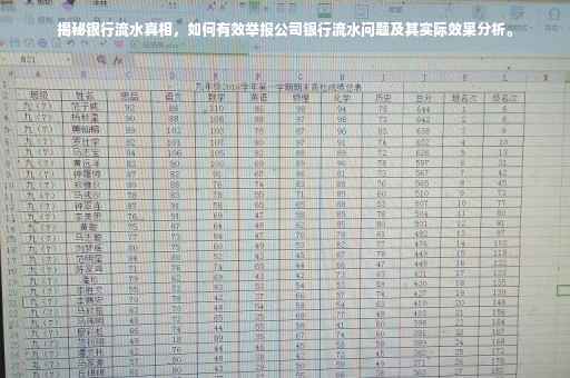 揭秘银行流水真相，如何有效举报公司银行流水问题及其实际效果分析。