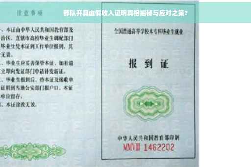 部队开具虚假收入证明真相揭秘与应对之策?