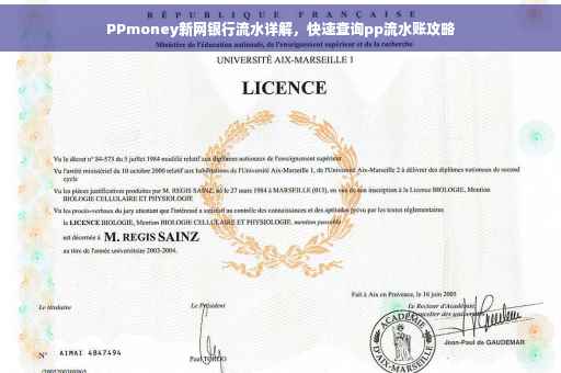 PPmoney新网银行流水详解，快速查询pp流水账攻略