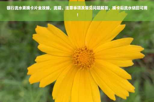 银行流水更换卡片全攻略，流程、注意事项及常见问题解答，换卡后流水依旧可用！