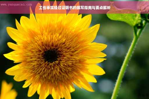 工伤事实经过证明书的撰写指南与要点解析