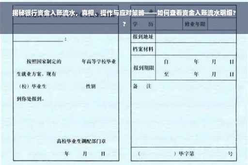 揭秘银行资金入账流水，真相、操作与应对策略——如何查看资金入账流水明细??