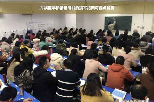 车祸医学诊断证明书的撰写指南与要点解析