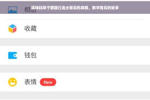 揭秘科级干部银行流水背后的真相，数字背后的故事