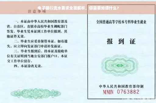 电子银行流水要求全面解析，你需要知道什么？