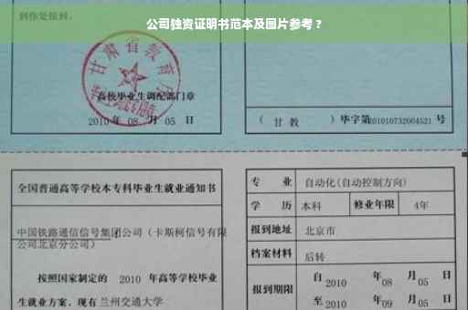 公司独资证明书范本及图片参考 ?
