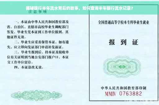揭秘银行半年流水背后的故事，如何查询半年银行流水记录？