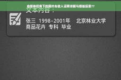 自媒体视角下的网约车收入证明详解与模板探索??
