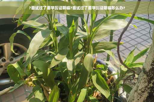 ?面试过了要学历证明嘛?面试过了要学历证明嘛怎么办?
