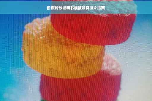 偷渡释放证明书模板及其图片指南