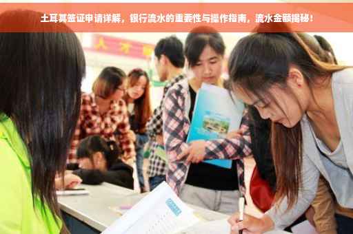土耳其签证申请详解，银行流水的重要性与操作指南，流水金额揭秘！