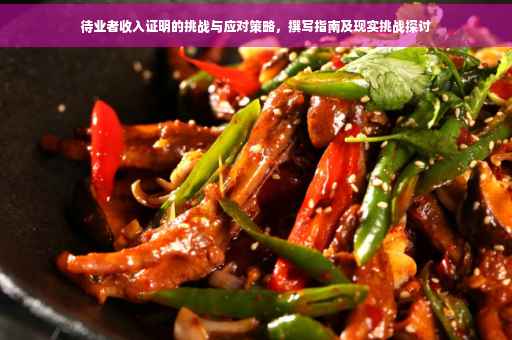 待业者收入证明的挑战与应对策略，撰写指南及现实挑战探讨