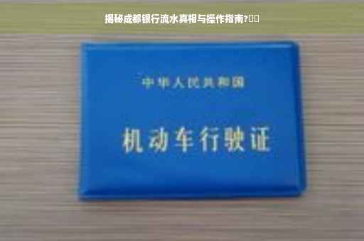 揭秘成都银行流水真相与操作指南?⚡️