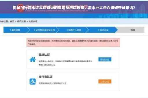 揭秘银行流水过大对签证的影响及应对攻略，流水巨大是否阻碍签证申请？