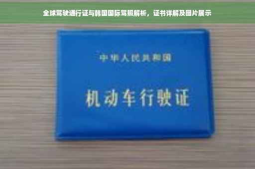 全球驾驶通行证与韩国国际驾照解析，证书详解及图片展示
