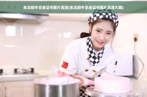 东北初中毕业证书图片高清(东北初中毕业证书图片高清大图)