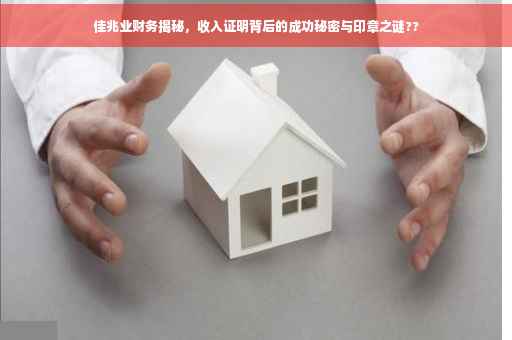 佳兆业财务揭秘，收入证明背后的成功秘密与印章之谜??