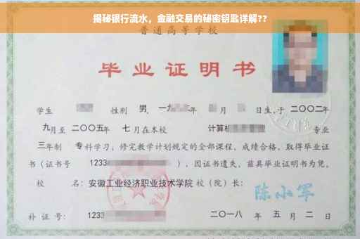 揭秘银行流水，金融交易的秘密钥匙详解??