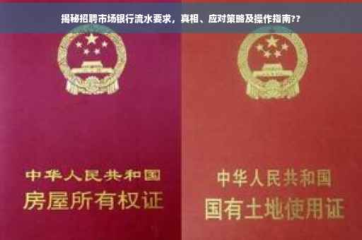 揭秘招聘市场银行流水要求，真相、应对策略及操作指南??