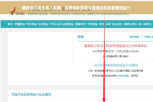 揭秘银行流水收入总额，洞悉财务健康与信用状况的重要指标?✨