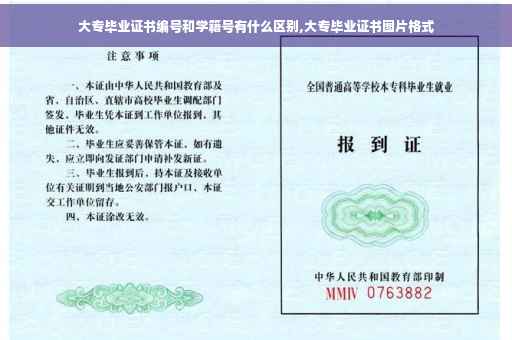 大专毕业证书编号和学籍号有什么区别,大专毕业证书图片格式