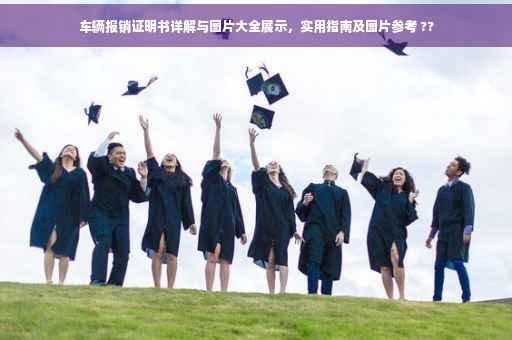 车辆报销证明书详解与图片大全展示，实用指南及图片参考 ??