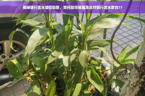 揭秘银行流水造假陷阱，如何防范被骗及应对银行流水欺诈??
