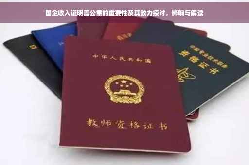 国企收入证明盖公章的重要性及其效力探讨，影响与解读