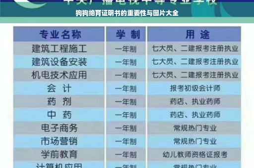 狗狗绝育证明书的重要性与图片大全