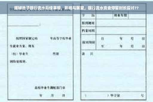 揭秘池子银行流水后续真相，影响与展望，银行流水资金停留时长探讨??