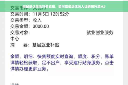 揭秘退休生活财务真相，如何查询退休收入证明银行流水？