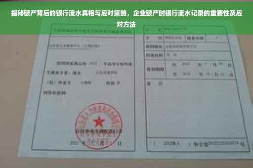 揭秘破产背后的银行流水真相与应对策略，企业破产时银行流水记录的重要性及应对方法