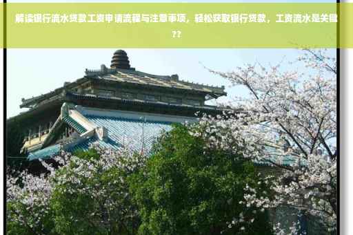 解读银行流水贷款工资申请流程与注意事项，轻松获取银行贷款，工资流水是关键??