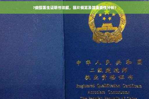 ?病假医生证明书详解，图片概览及其重要性分析?