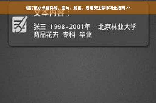 银行流水单据详解，图片、解读、应用及注意事项全指南 ??
