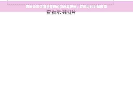 困难党员证明书背后的信念与担当，逆境中的力量展现