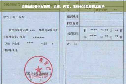 赔钱证明书撰写指南，步骤、内容、注意事项及模板全解析