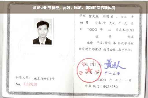 漂亮证明书模板，高效、规范、美观的文书新风尚