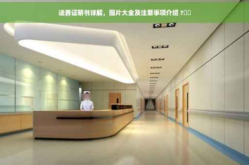 送养证明书详解，图片大全及注意事项介绍 ?⚡️