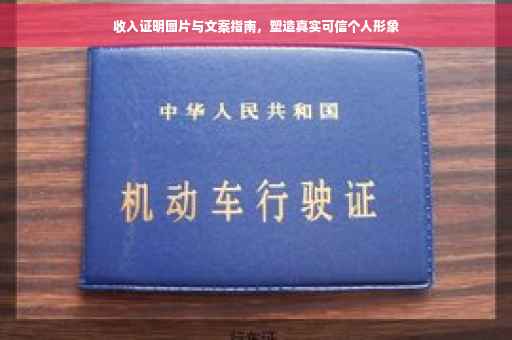 收入证明图片与文案指南，塑造真实可信个人形象